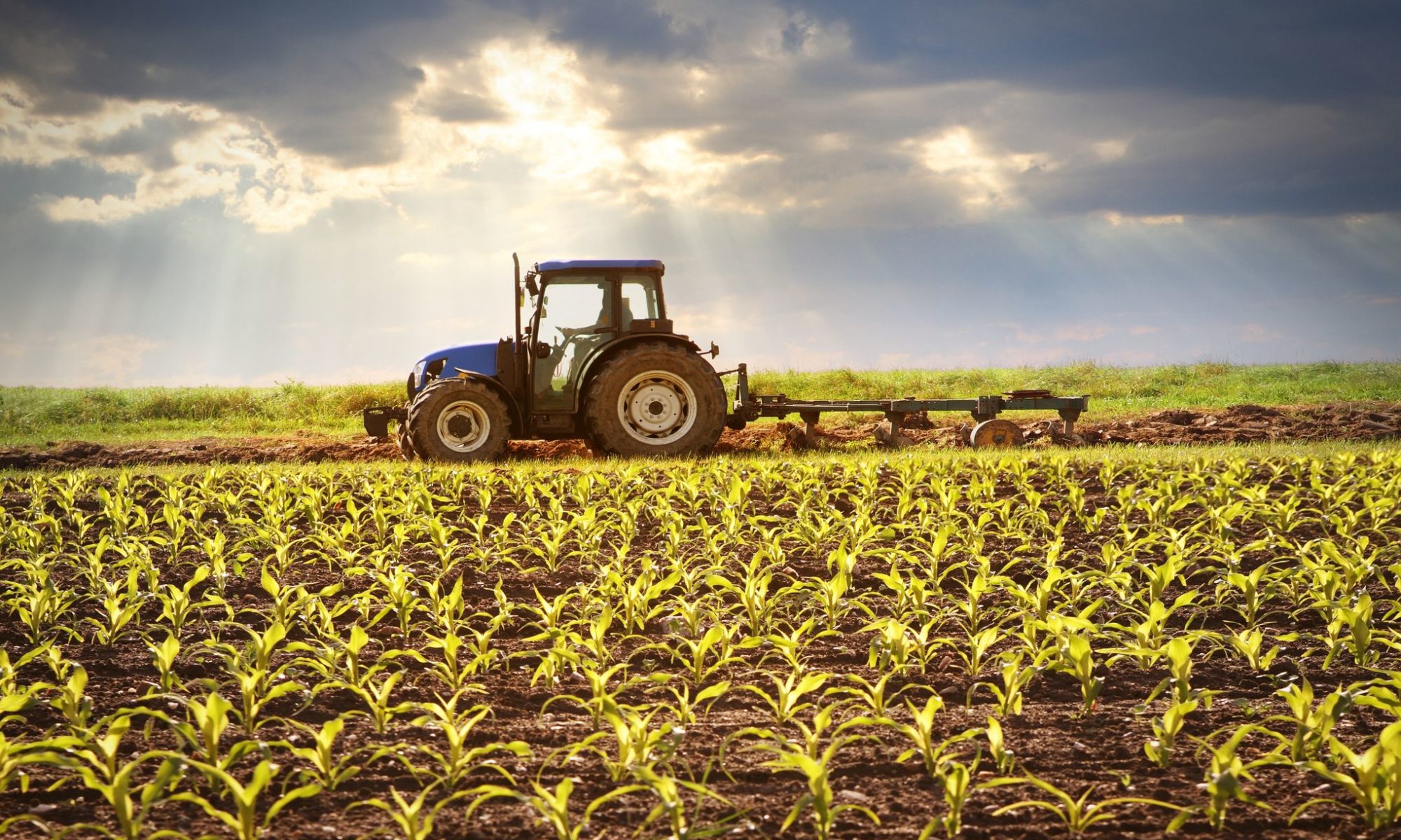 Government of India Bolsters Agricultural Sector with Increase in Authorized Capital of Food Corporation of India from Rs 10,000 Crore to Rs 21,000 Crore