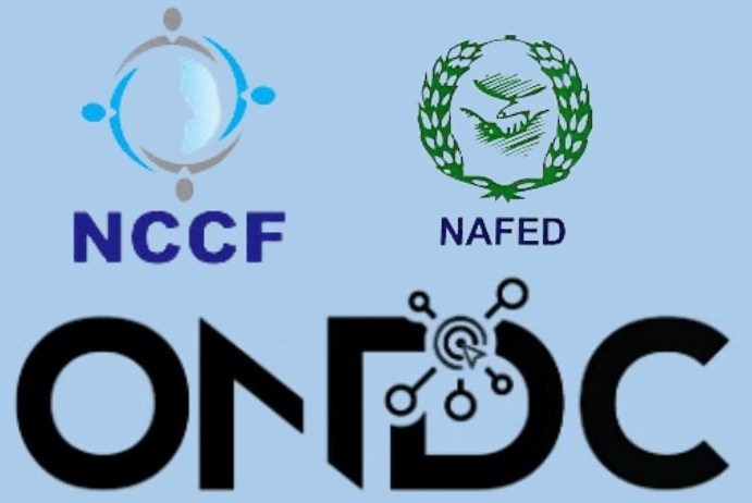 Government has directed NCCF and NAFED to initiate procurement of 5 lakh tonnes of onion for the buffer requirement