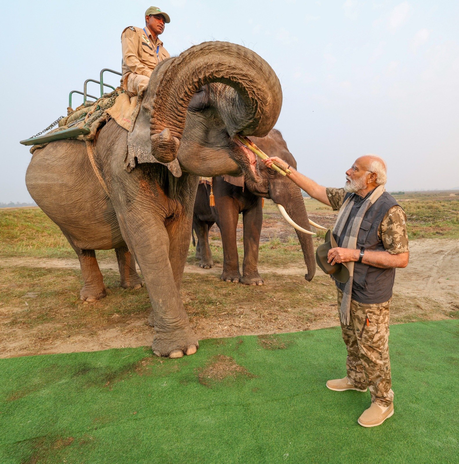 PM visits Kaziranga National Park:Feeds sugar cane to Lakhimai, Pradyumna and Phoolmai elephants