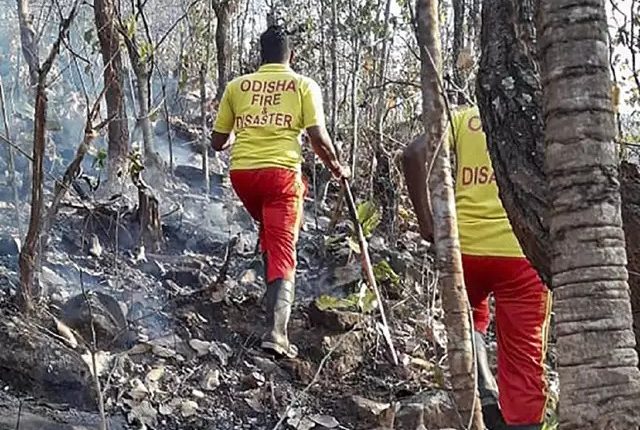Seven ODRAF Teams Deployed for Prevention of Forest Fire