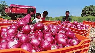 Centre allows export of 99,150 MT onion to six countries Bangladesh, UAE, Bhutan, Bahrain, Mauritius and Sri Lanka