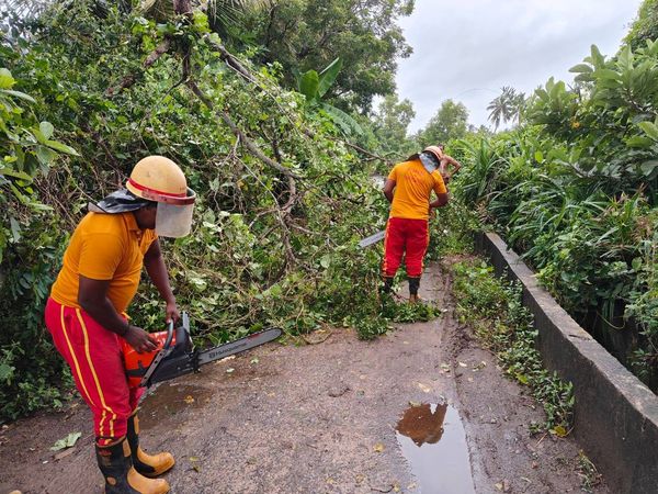 Odisha Undertakes Restoration Work On War Footing After Cyclone
