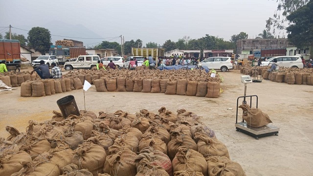 Govt procures paddy from nearly 9 lakh registered farmers