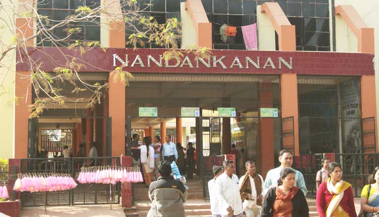 Nandankanan Zoological Park collected a revenue of Rs 13,39,370 from ticket sales on New year