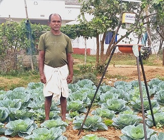 Adani Foundation’s Cooperative initiativeTransforming Marginal Farming: Success Story of Sahadeb Mandal