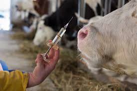 User charges waiver on veterinary care and vaccination
