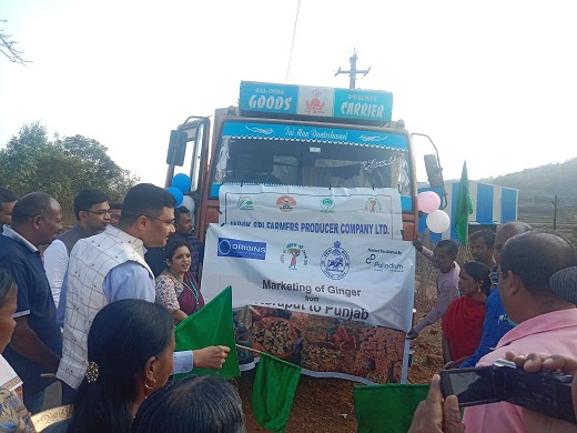 Enhancing market access for Koraput farmers total of 45 metric tons of ginger were dispatched to Punjab and Raipur