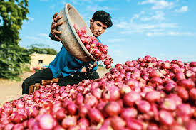 Centre withdraws 20% duty on Onion Export effective from April 1st, 2025
