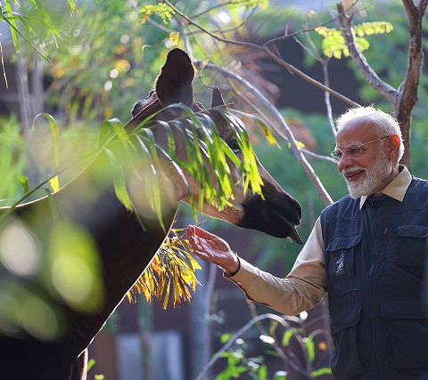 Prime Minister inaugurates Vantara, a unique wildlife conservation, rescue and rehabilitation initiative