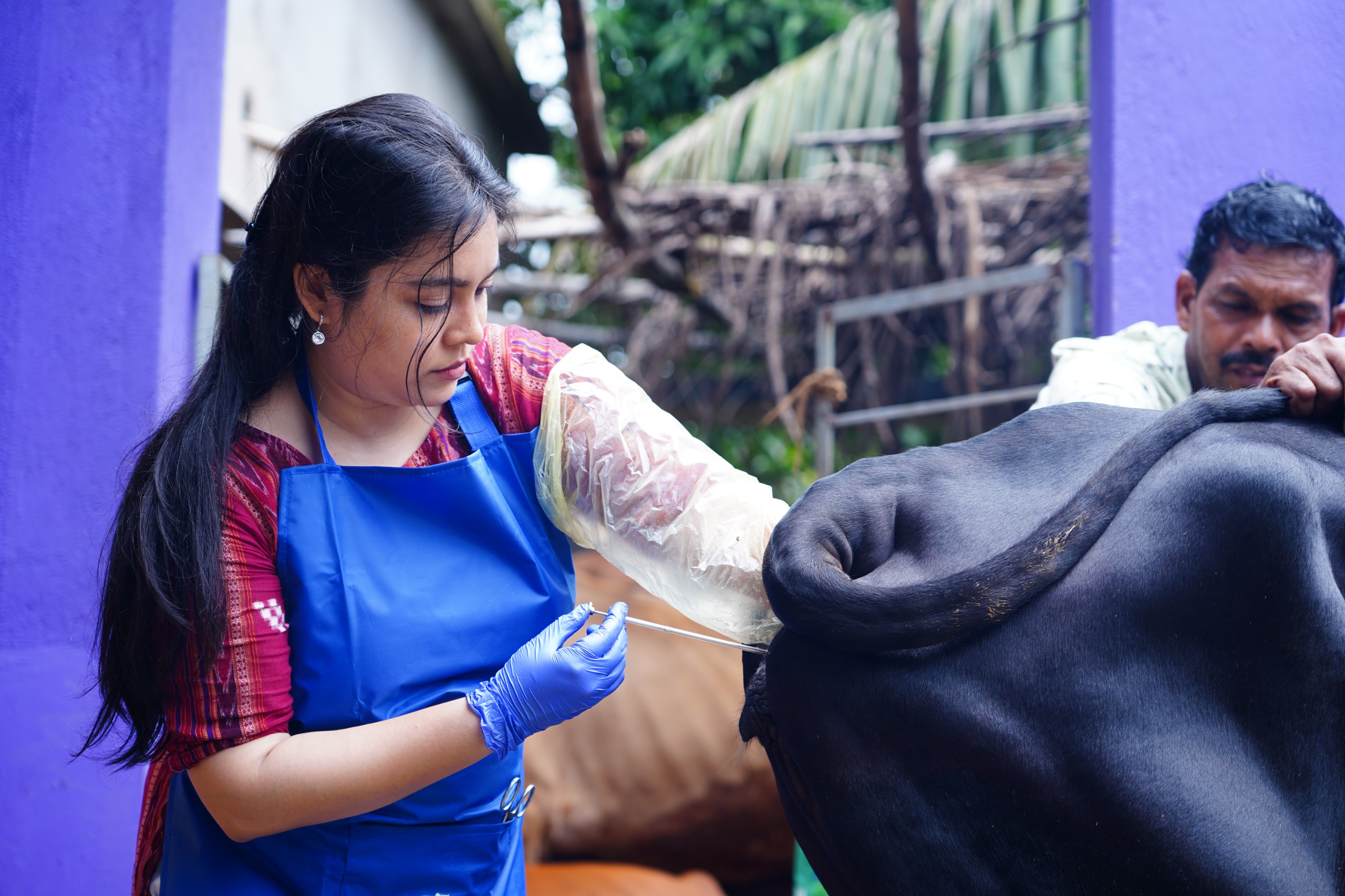 BOOSTING MILK PRODUCTION THROUGH ON-CALL ARTIFICIAL INSEMINATION IN ODISHA