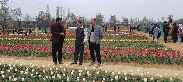 IIIM Field Station Bonera sets to Indigenize Tulips: Scientists aim at Import Substitution