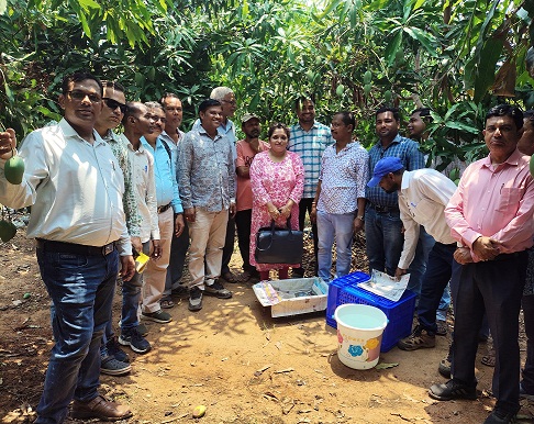 Odisha Govt. Advances Mango Value Chain in Patnagarh under PSFPO to Empower Farmers and Boost Exports