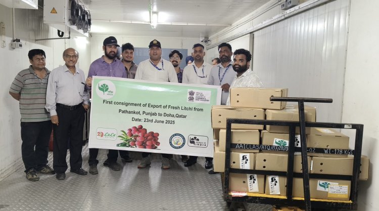 India Flags Off First Consignment of Rose-Scented Litchi from Pathankot to Qatar