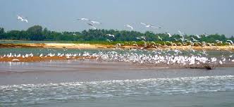 PARLIAMENT QUESTION: CHILIKA LAKE ECOSYSTEM IN ODISHA