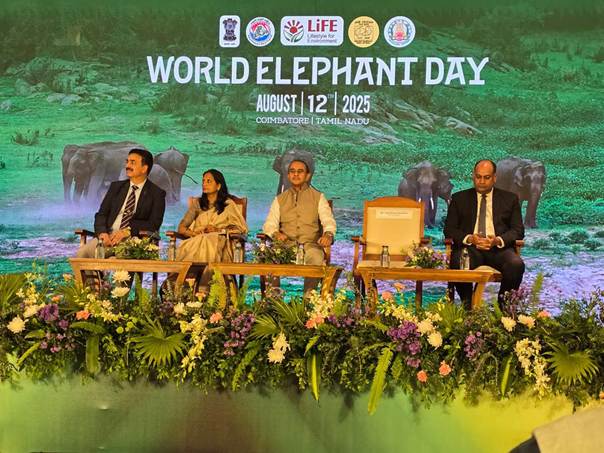 India Reaffirms Global Leadership in Elephant Conservation