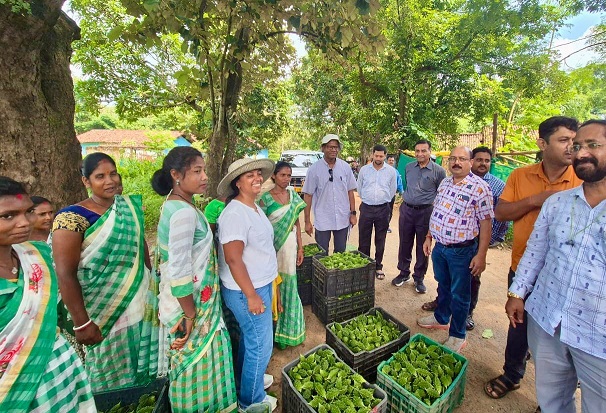 World Bank Team praised Maa Kalijai APC after reviewing their performance