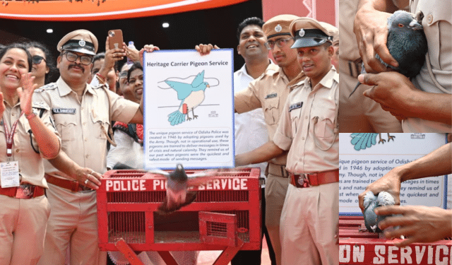 Odisha’s Historic Police Pigeon Service Showcased at Nyaya Sanhita Expo