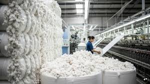 Central Government temporarily exempts all customs duties on import of cotton from 1st June, 2026 till 31st October, 2026