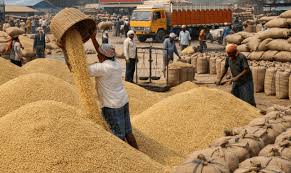 Rabi Paddy procurement starts in Bargarh : Procurement to commence in Balasore, Cuttack, Puri & Sambalpur on May 15