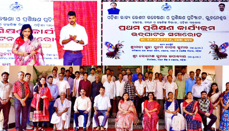 Odisha State Sericulture Research and Training Institutehas organised its first Farmers’ Training Programme