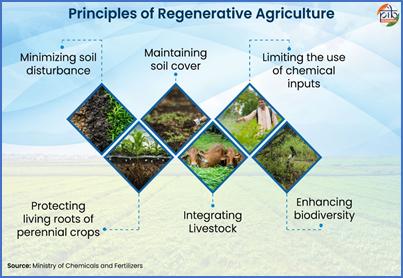 Rebuilding Farming Systems: Regenerative Agriculture for a Resilient India
